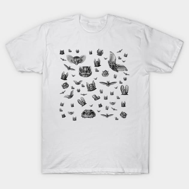 Bats #bats T-Shirt by JBJart